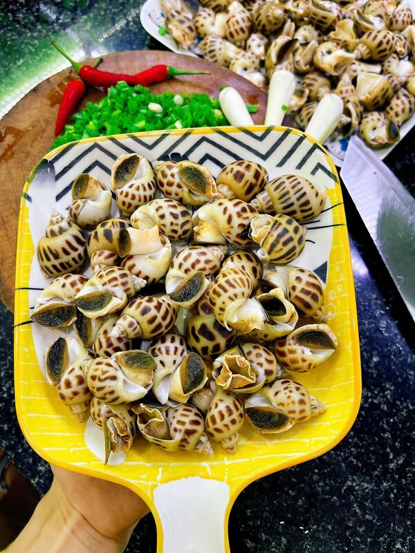 Công Thức Làm Ốc Hương Nướng Muối Ớt Bằng Nồi Chiên Không Dầu oc-huong-nuong